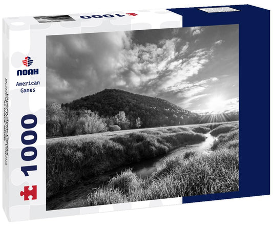 Noah Jigsaw Puzzle Virginia State Capitol Building in Richmond Virginia in black white 1000 pieces