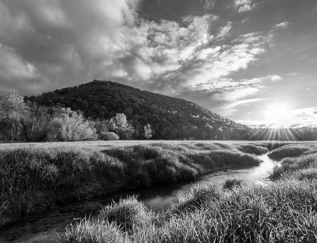 Noah Jigsaw Puzzle Virginia State Capitol Building in Richmond Virginia in black white 1000 pieces