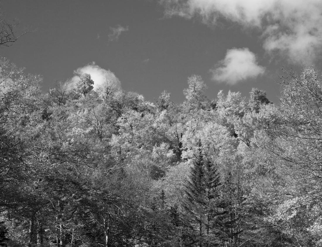 Noah Jigsaw Puzzle Map Turkey in black white 1000 pieces