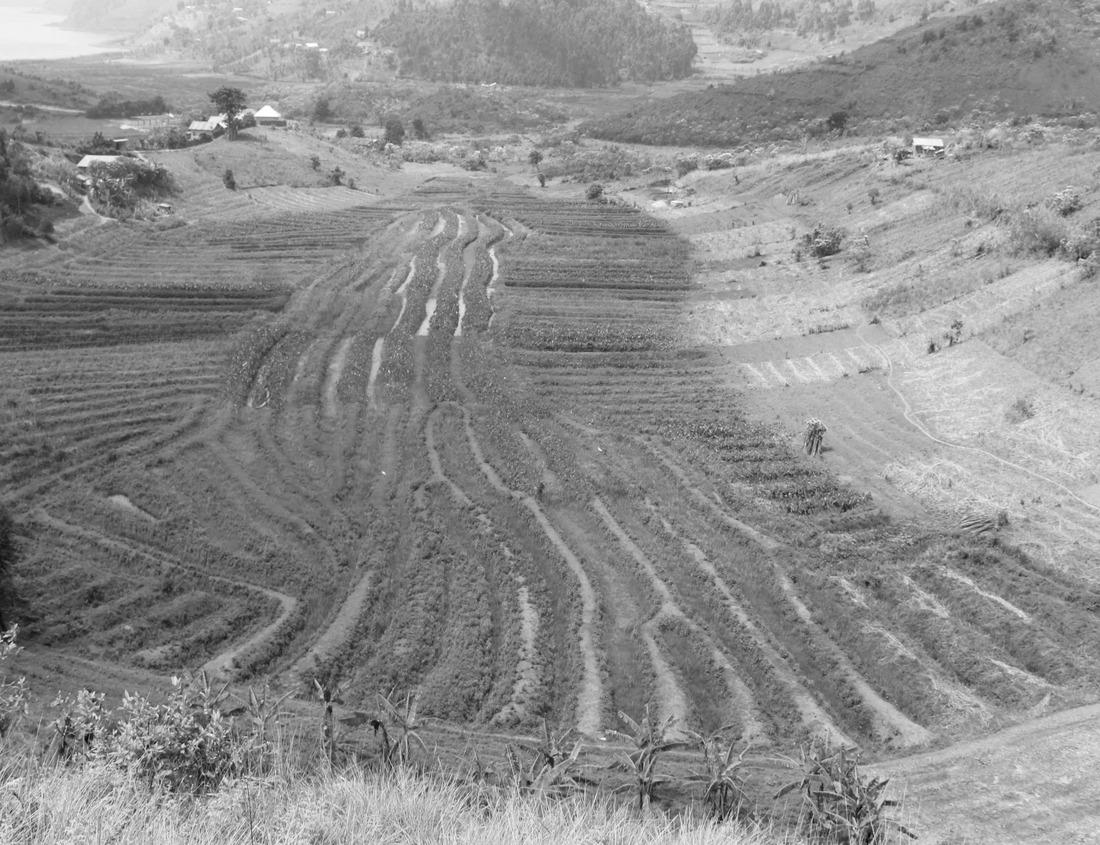 Noah Jigsaw Puzzle A beautiful autumn day at Lake Bohinj in black white 1000 pieces