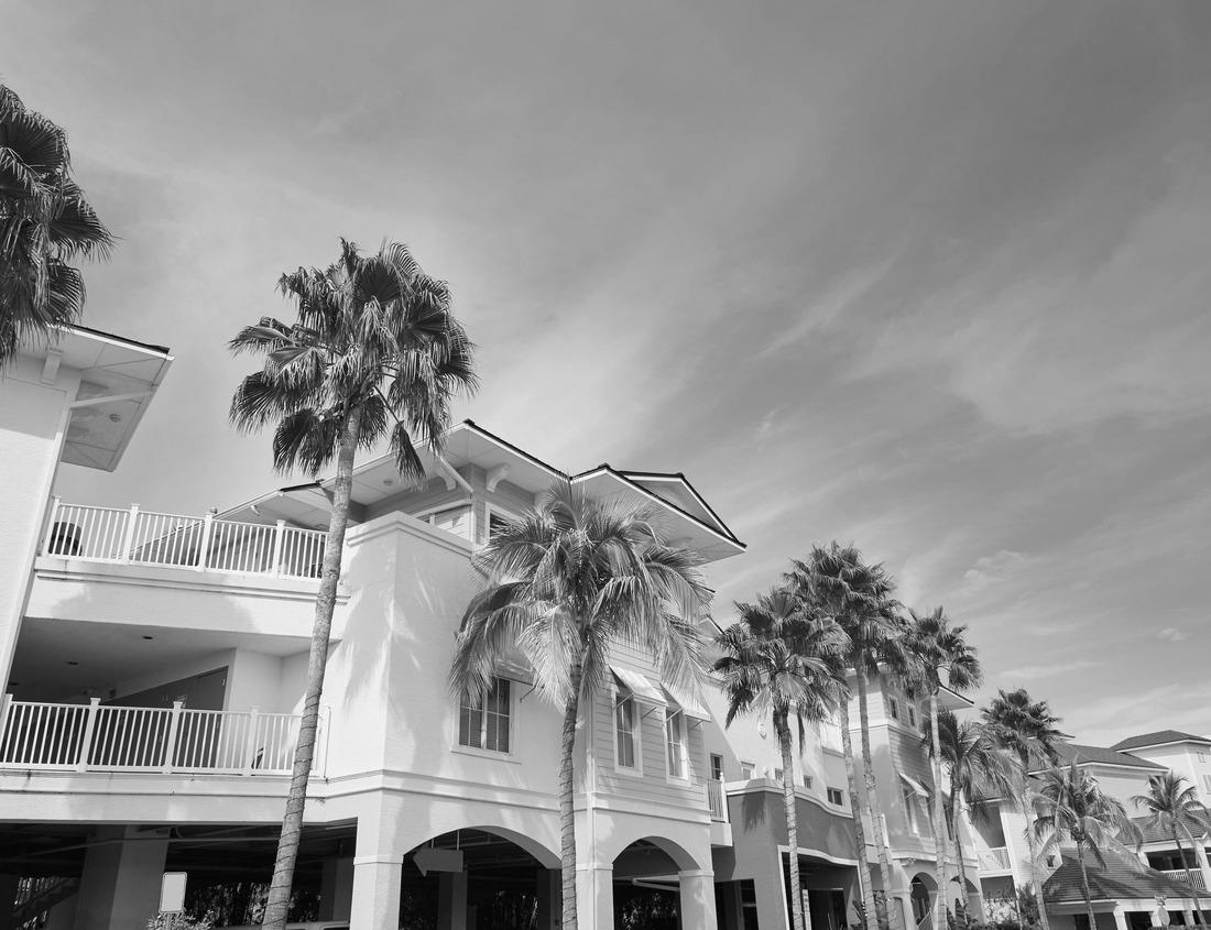 Noah Jigsaw Puzzle Majestic Osaka Castle, Osaka, Japan in black white 1000 pieces
