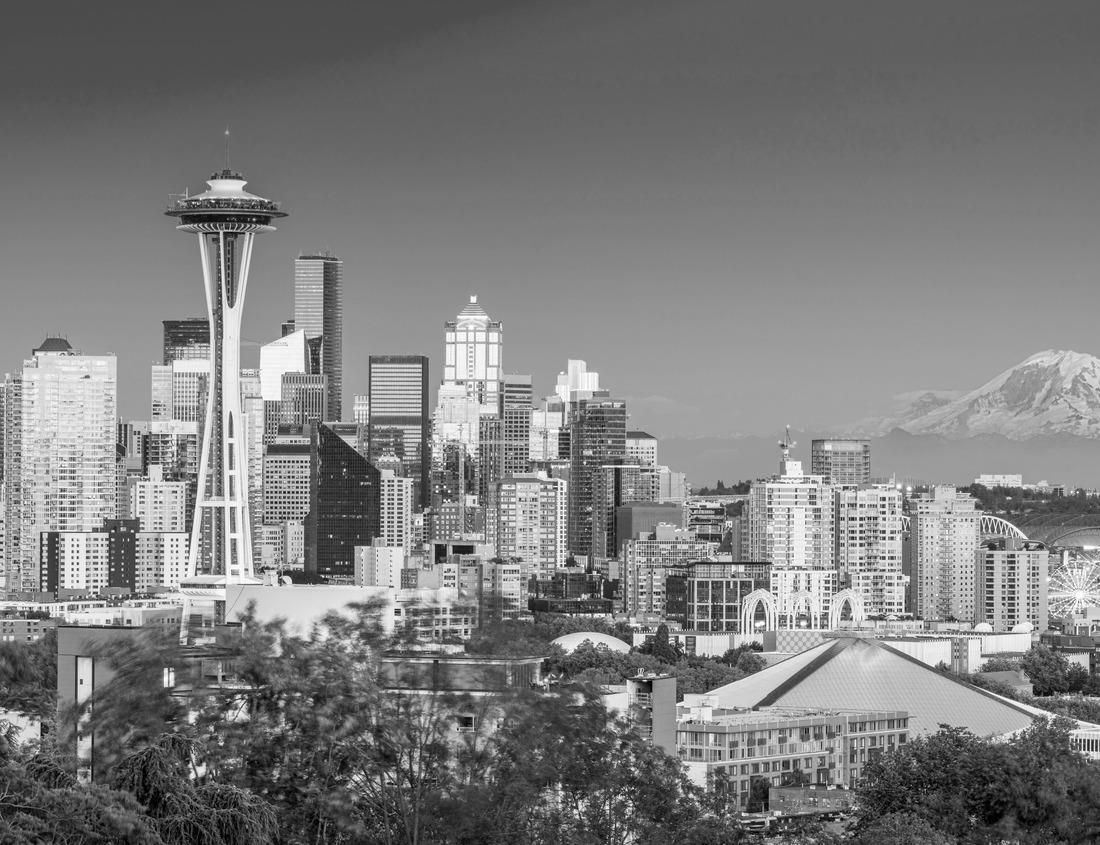 Noah Jigsaw Puzzle Dramatic view of the Victoria Falls, Livingstone, Zambia in black white 1000 pieces