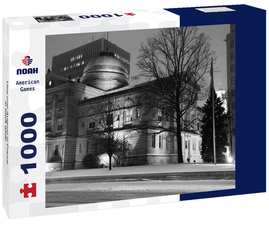 Noah Jigsaw Puzzle View over Avignon in France in black white 1000 pieces