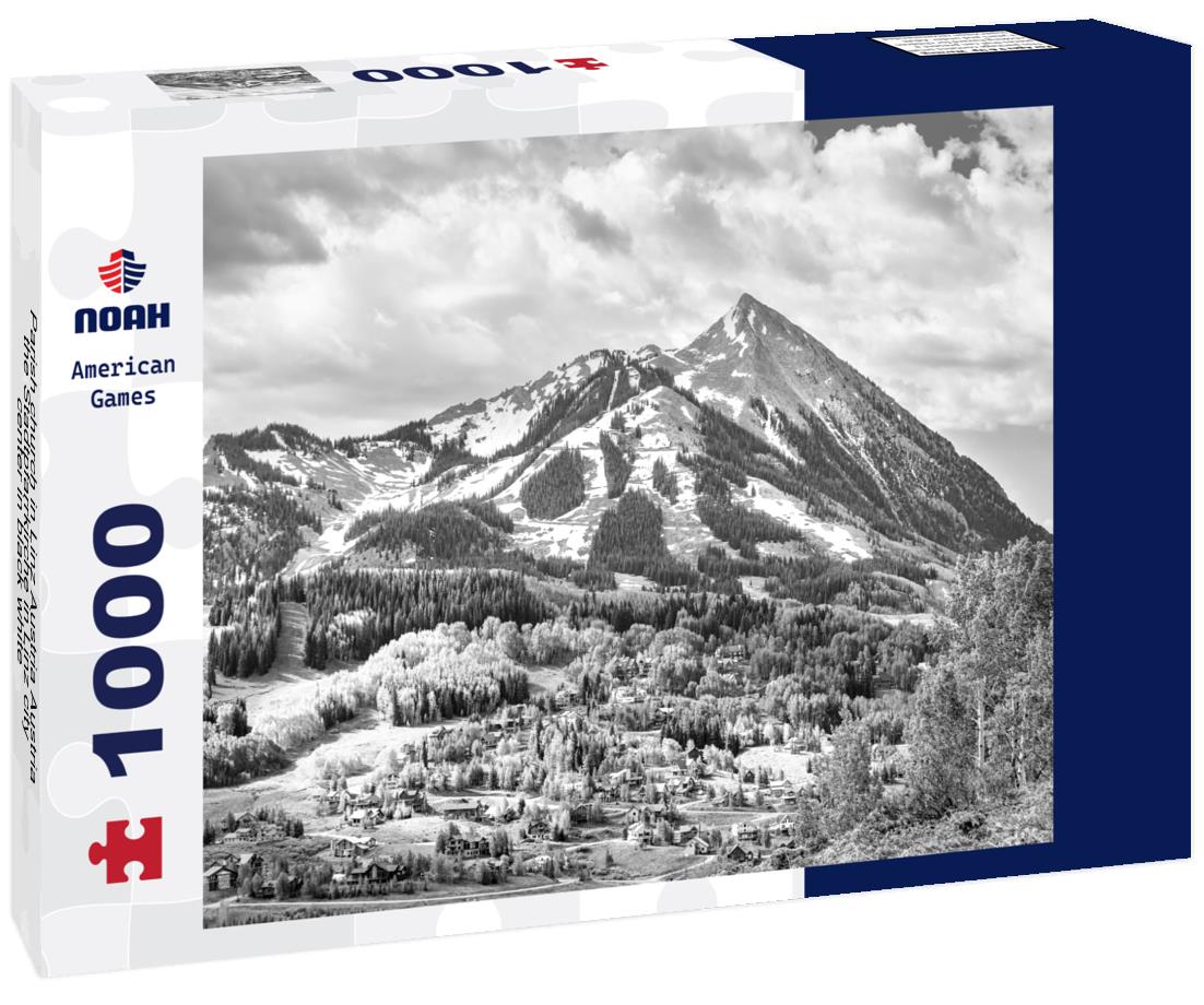 Noah Jigsaw Puzzle Parish church in Linz Austria Austria the Stadtpfarrkirche in Linz city center in black white 1000 pieces