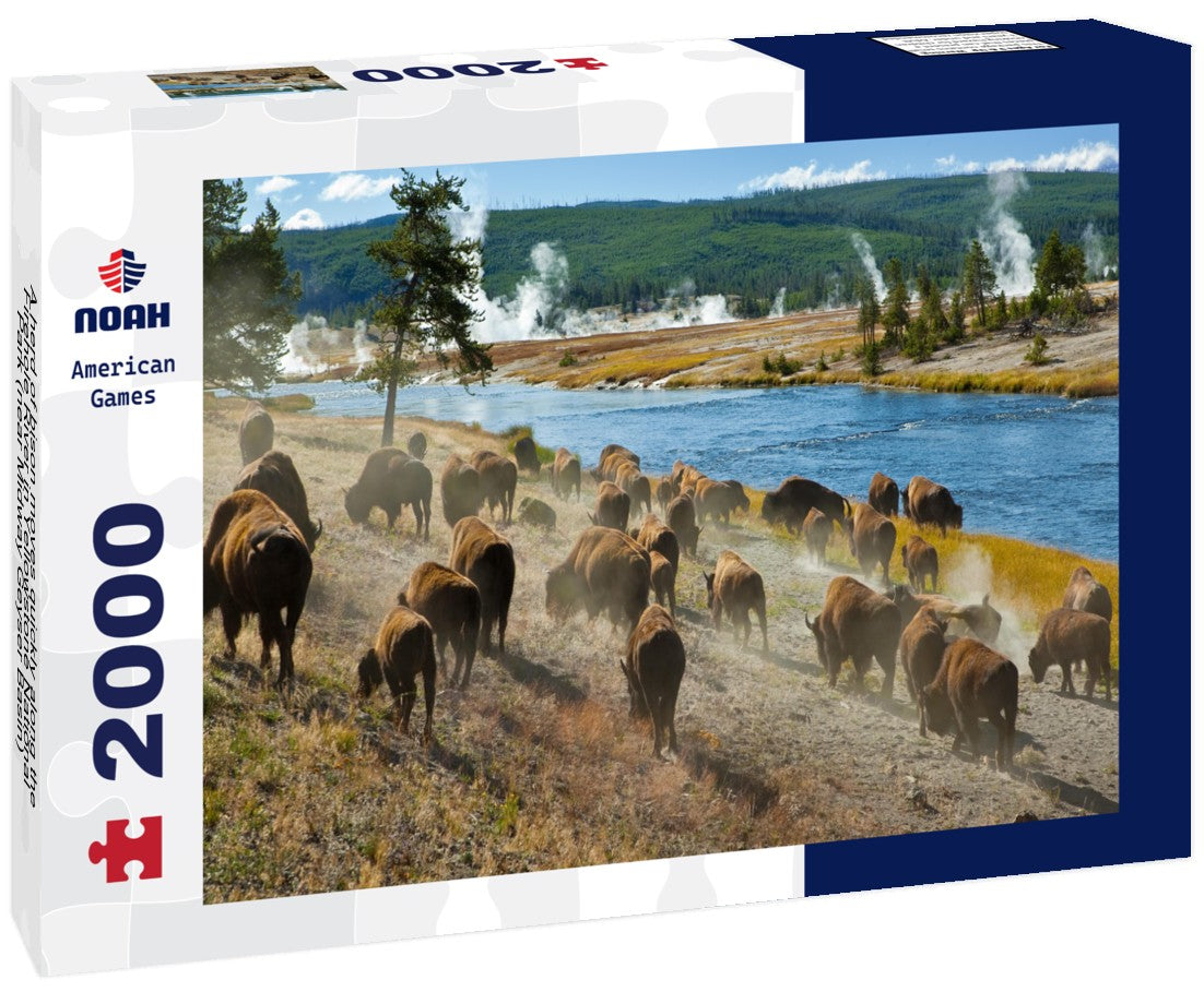Noah Jigsaw Puzzle A herd of bison moves quickly along the Firehole River in Yellowstone National Park (near Midway Geyser Basin) 2000 pieces