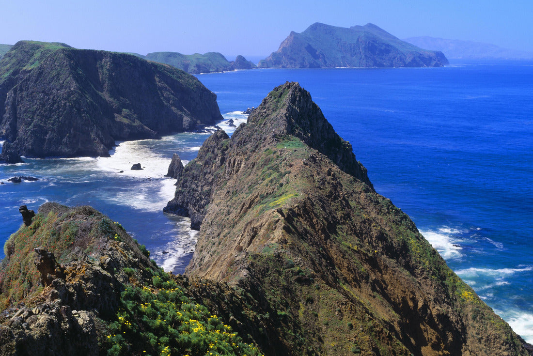 Spring at Anacapa Island, Channel Islands National Park, Ventura, California 2000pc Puzzle