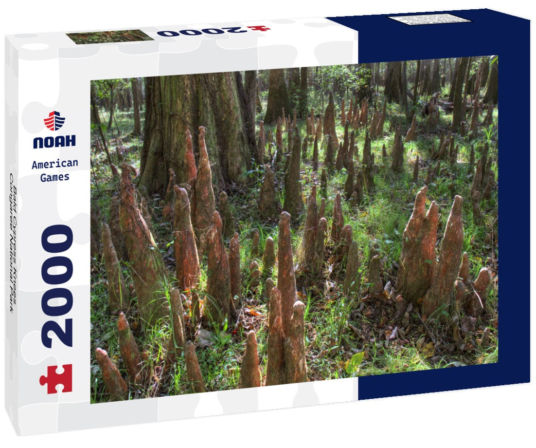 Noah Jigsaw Puzzle Bald Cypress Knees, Congaree National Park 2000 pieces