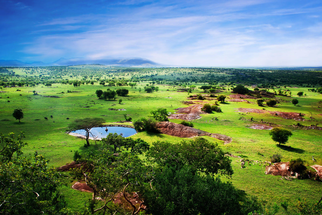 Noah Jigsaw Puzzle Savanna in bloom, in Tanzania, Africa panorama. Serengeti 2000 pieces