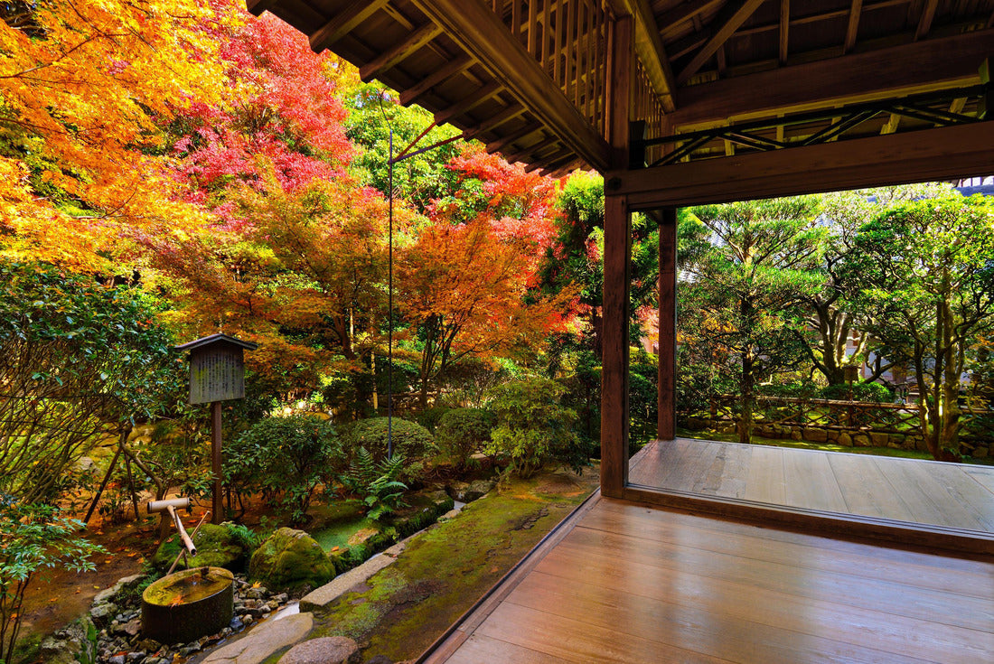 Fall foliage at Ryoan-ji Temple in Kyoto, Japan 2000pc Puzzle