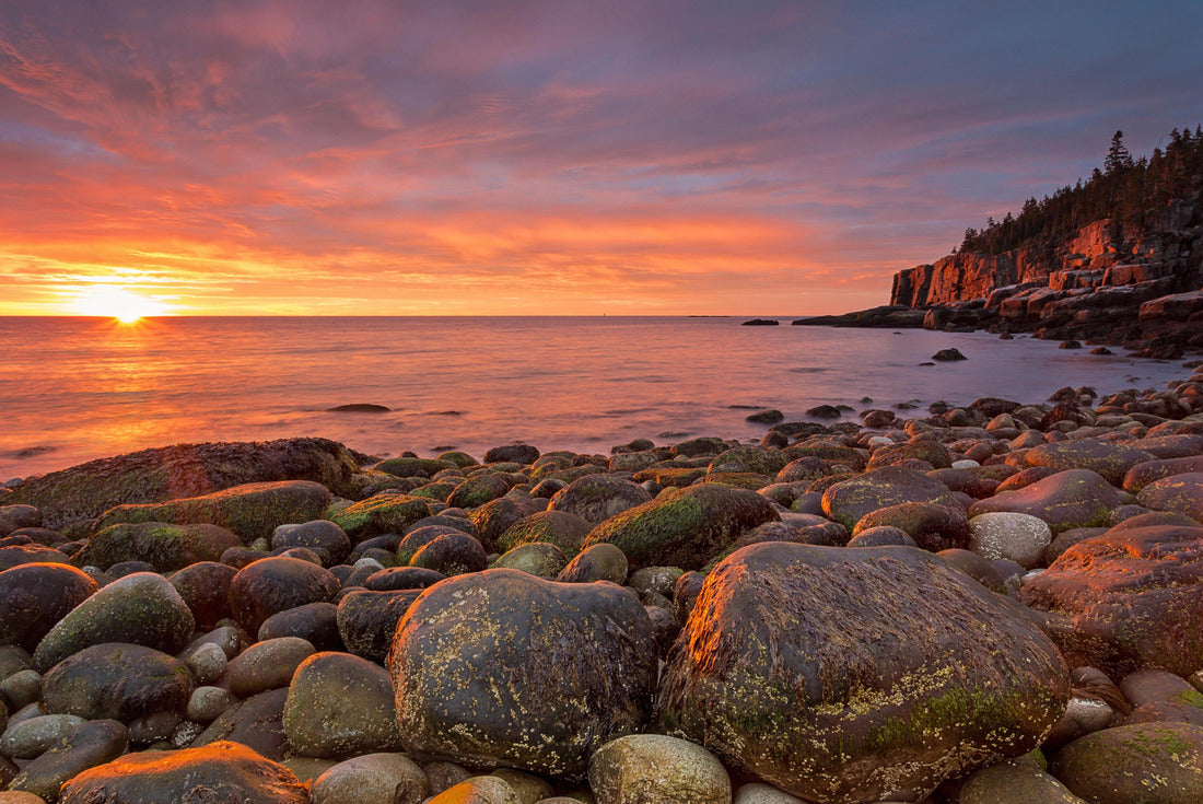 Noah Jigsaw Puzzle Sunrise at Acadia National Park 2000 pieces