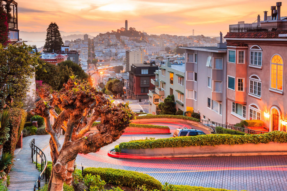 Famous Lombard Street in San Francisco at sunrise 2000pc Puzzle