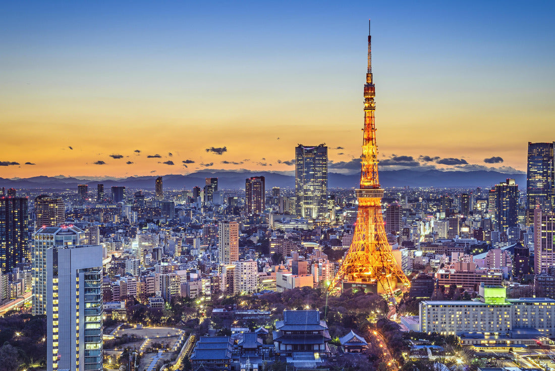 Tokyo, Japan city skyline 2000pc Puzzle