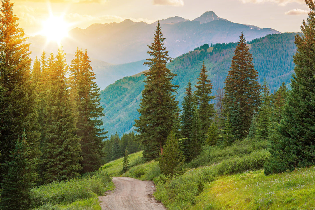 Mountain landscape. Colorado Wilderness Backcountry Road 2000pc Puzzle