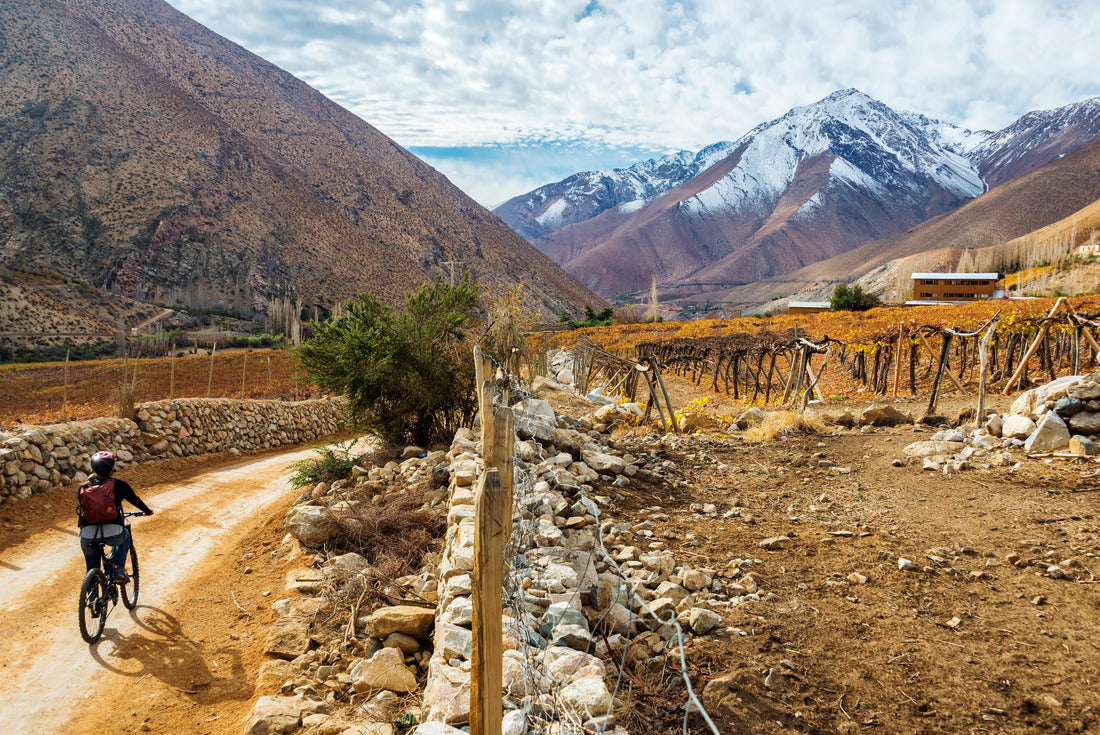 Elqui Valley near Vicuna, Chile with the Andes Mountains in the background 2000pc Puzzle