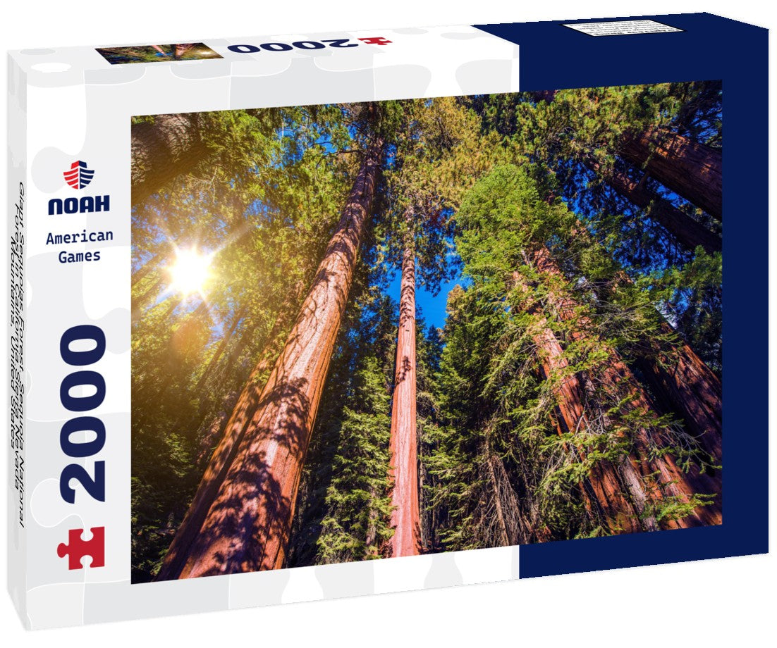 Giant Sequoias Forest. Sequoia National Forest in California Sierra Nevada Mountains, United States 2000pc Puzzle
