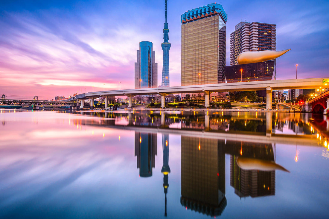 Tokyo, Japan skyline on the Sumida River 2000pc Puzzle