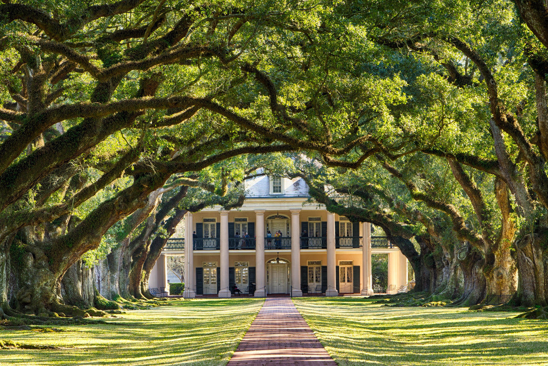 Oak Alley Plantation, Louisiana 2000pc Puzzle