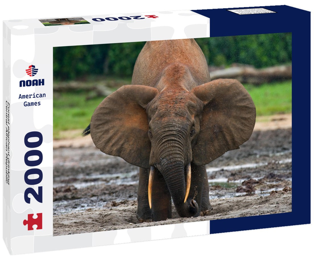 Noah Jigsaw Puzzle Forest elephant drinking, Central African Republic 2000 pieces