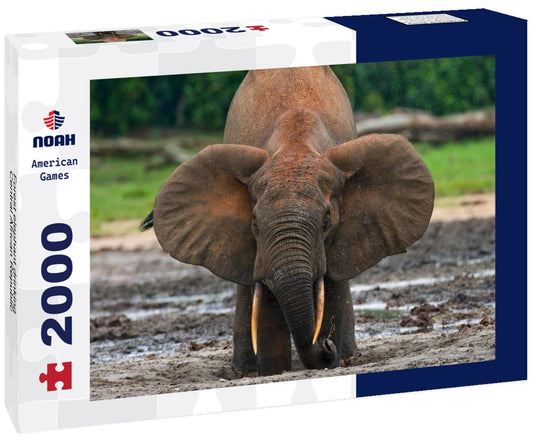 Noah Jigsaw Puzzle Forest elephant drinking, Central African Republic 2000 pieces