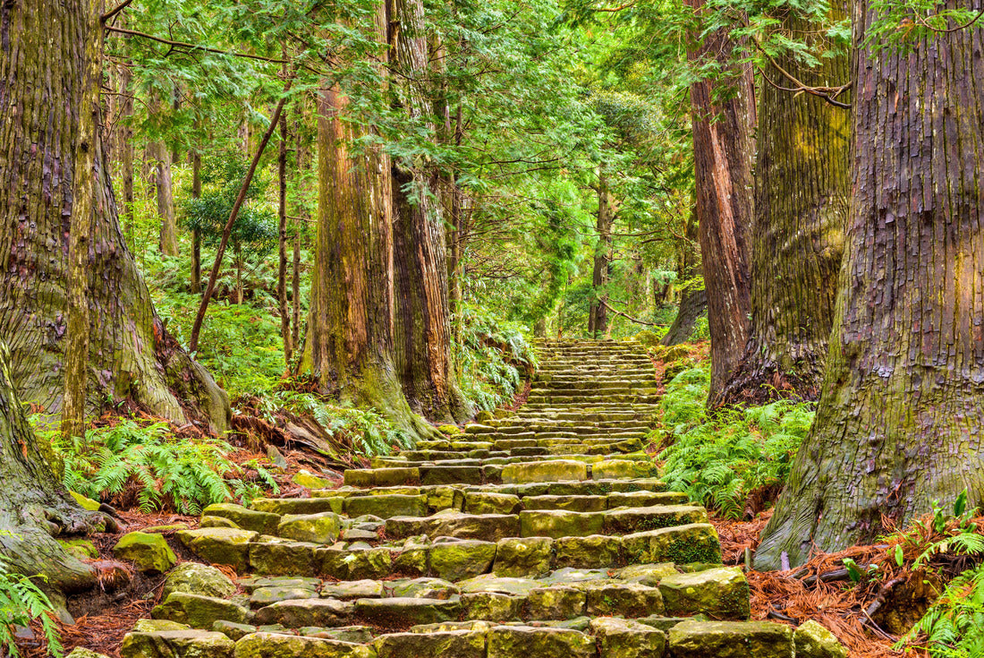 Kumano Kodo at Daimon-zaka slope, a sacred trail and World Heritage site in Nachi, Wakayama, Japan 2000pc Puzzle
