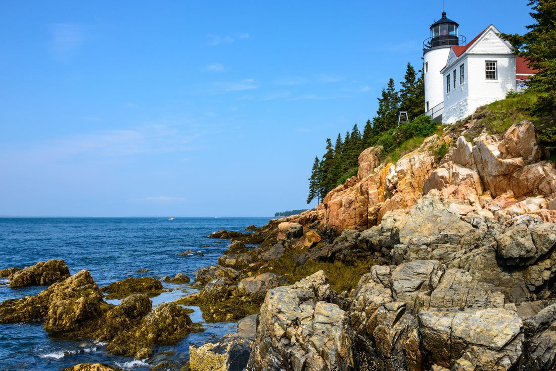 Noah Jigsaw Puzzle Historic lighthouse, Acadia National Park 2000 pieces