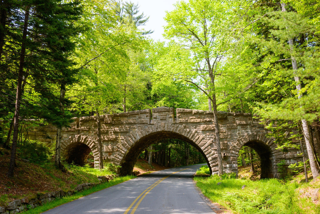 Bridge and Road, Acadia National Park 2000pc Puzzle
