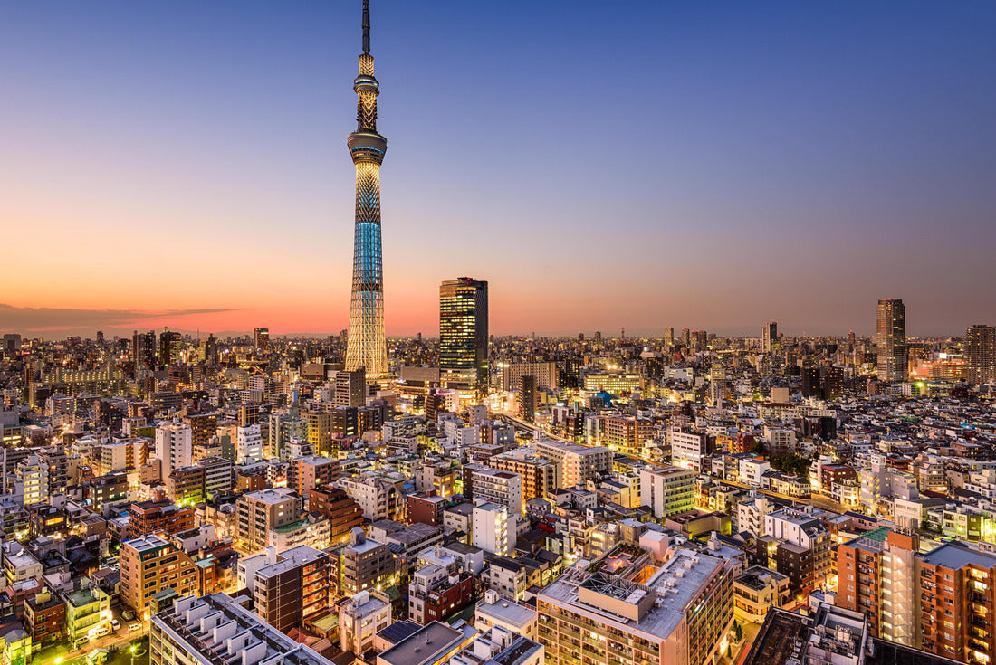 Tokyo, Japan cityscape with the Skytree 2000pc Puzzle