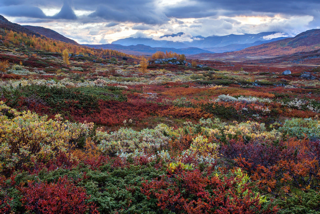 Autumn festival in northern Sweden 2000pc Puzzle