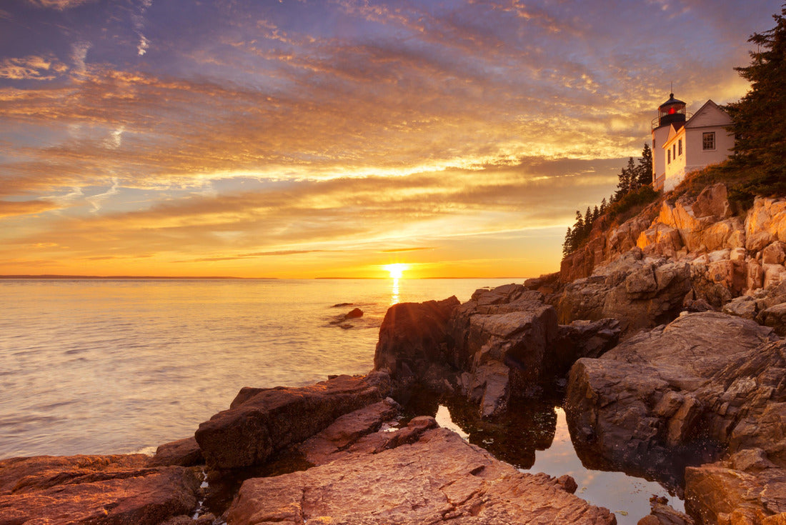 Noah Jigsaw Puzzle The Bass Harbor Head Lighthouse in Acadia National Park, Maine, USA 2000 pieces
