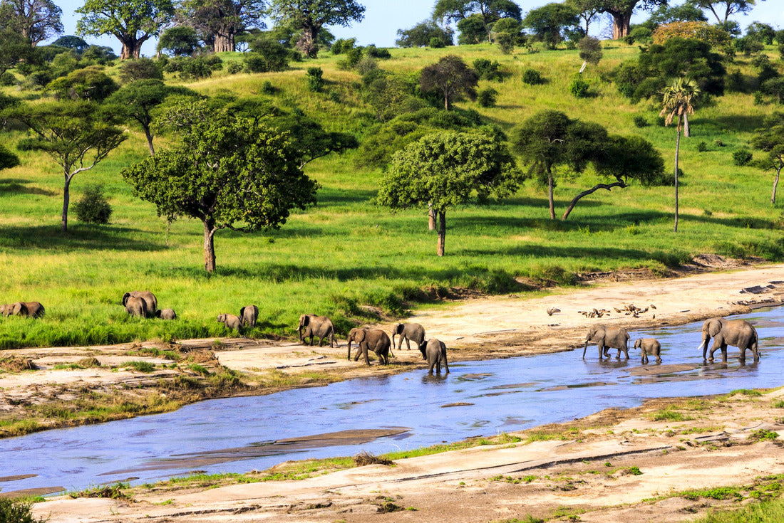Elephants crossing the river in Serengeti National Park, Tanzania, Africa 2000pc Puzzle