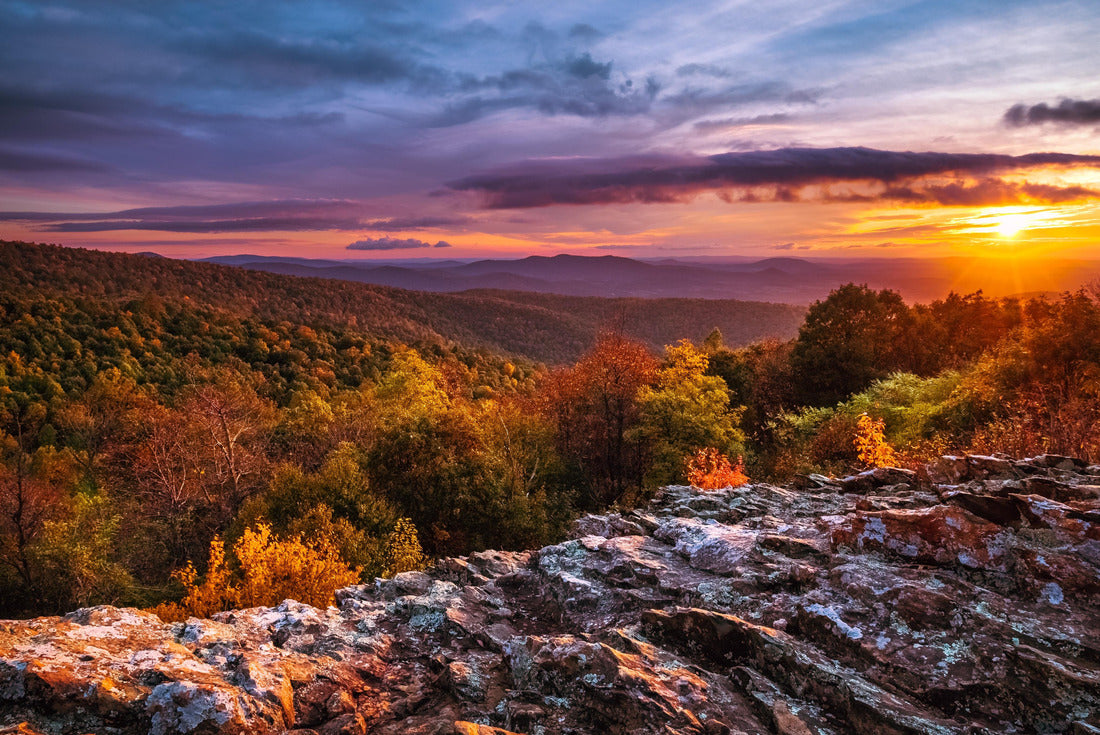 Noah Jigsaw Puzzle Autumn Dawn at Shenandoah National Park 2000 pieces