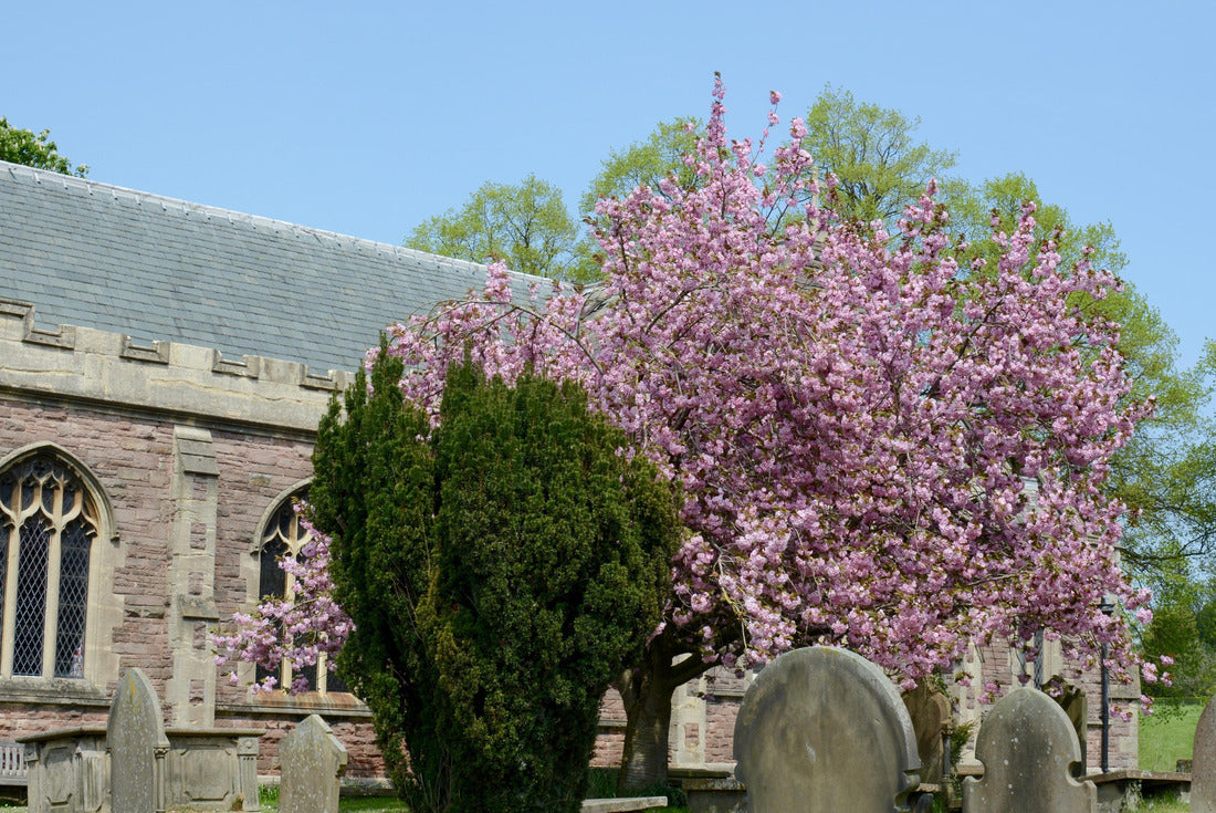 St Leonards Church, Warmingham, Cheshire 2000pc Puzzle