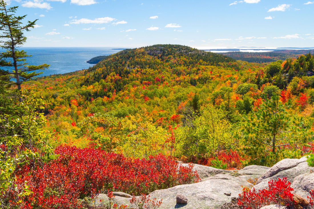 Autumn leaves in Acadia National Park, Maine, USA 2000pc Puzzle