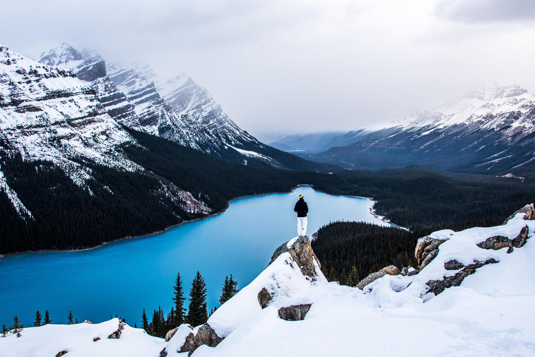 Peyto Lake, Banff National Park, Alberta 2000pc Puzzle