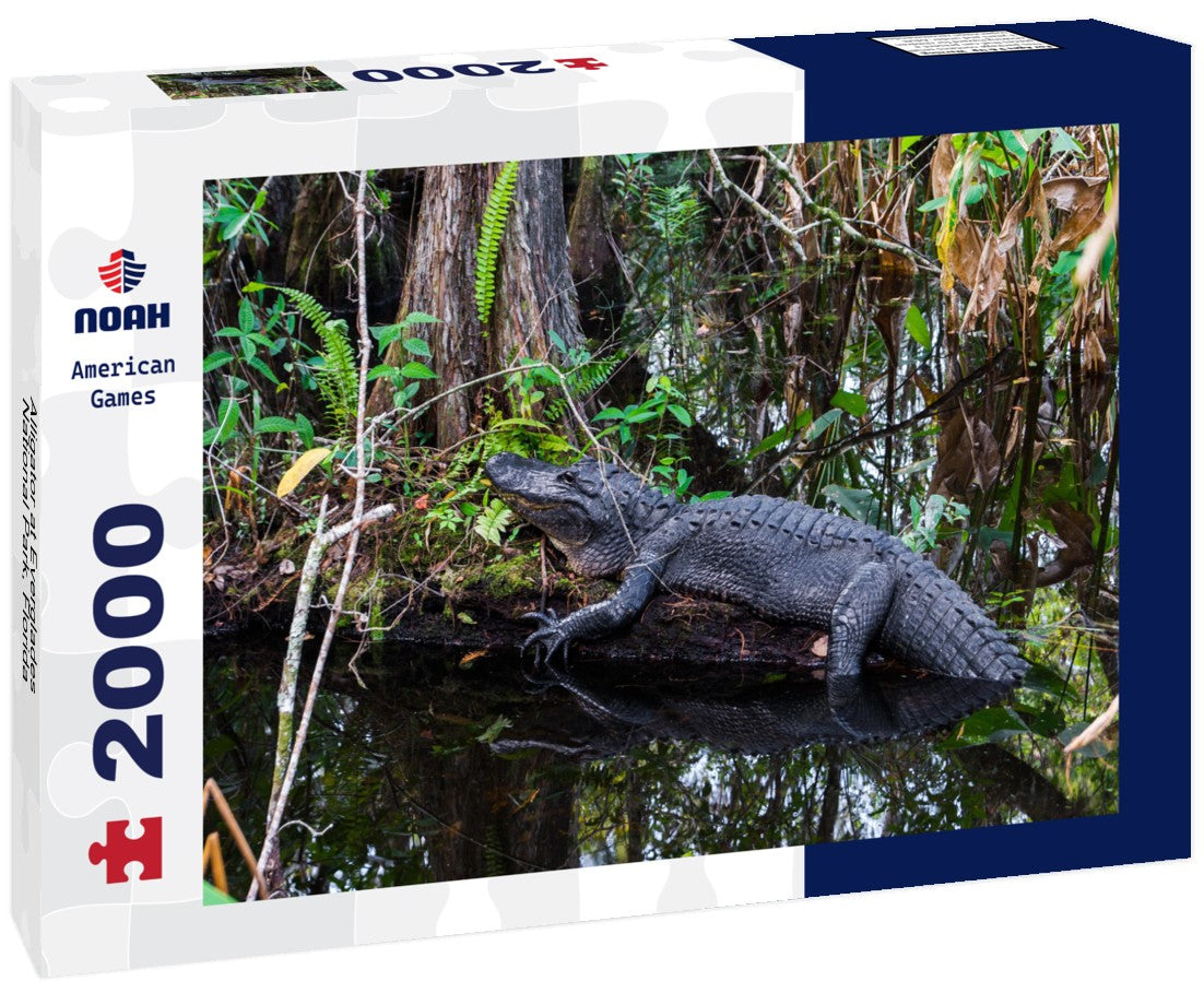 Noah Jigsaw Puzzle Alligator at Everglades National Park, Florida 2000 pieces