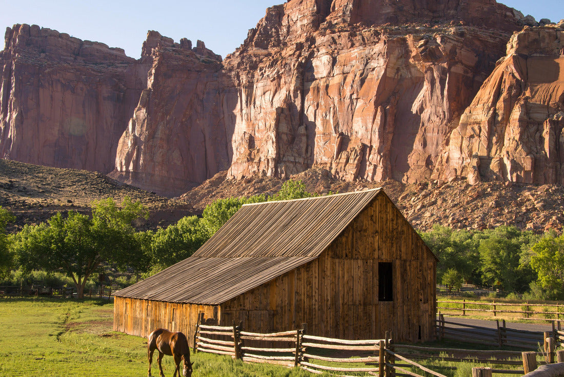 Horse and Historic Barn at Capitol Reef, Utah. Red Cliffs in Background 2000pc Puzzle