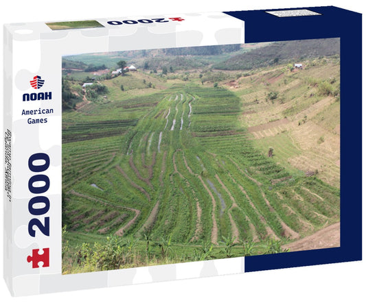 Noah Jigsaw Puzzle Swamp farming in the southwestern Uganda, Africa 2000 pieces