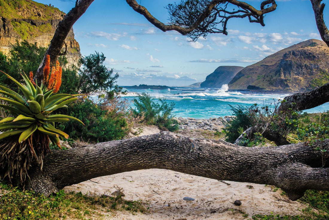 nature around the hole in the wall at Coffee Bay on the Wild Coast, Republic of South Africa 2000pc Puzzle