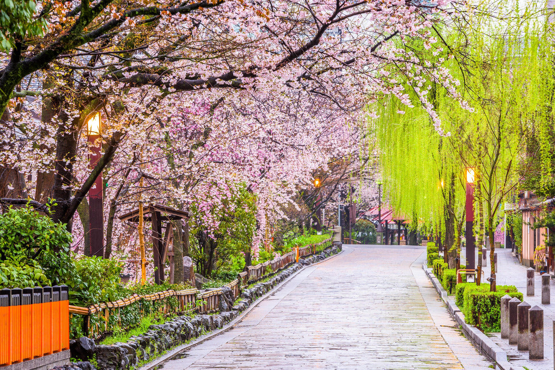 Gion Shirakawa, Kyoto, Japan in spring 2000pc Puzzle