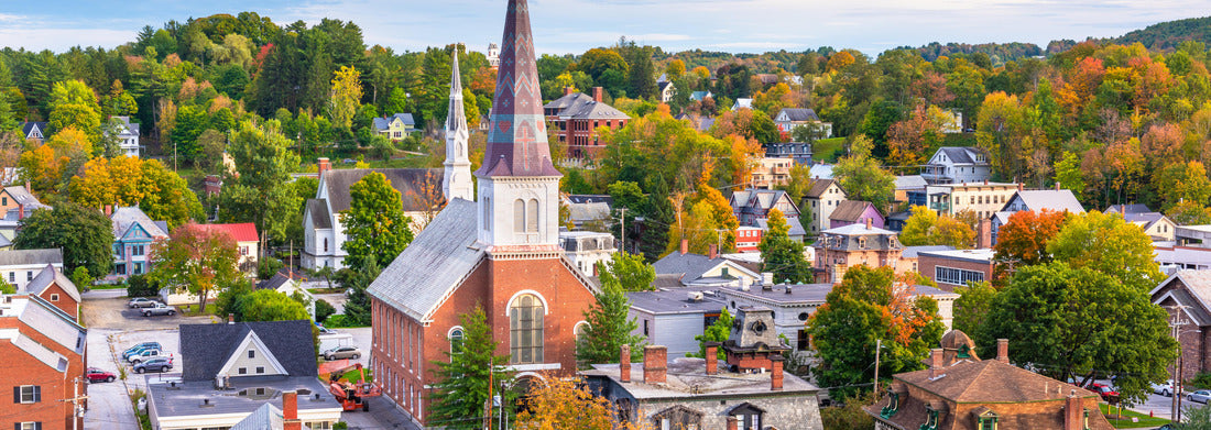 Noah Jigsaw Puzzle Montpelier, Vermont, autumn city skyline of the USA panorama 1000 pieces