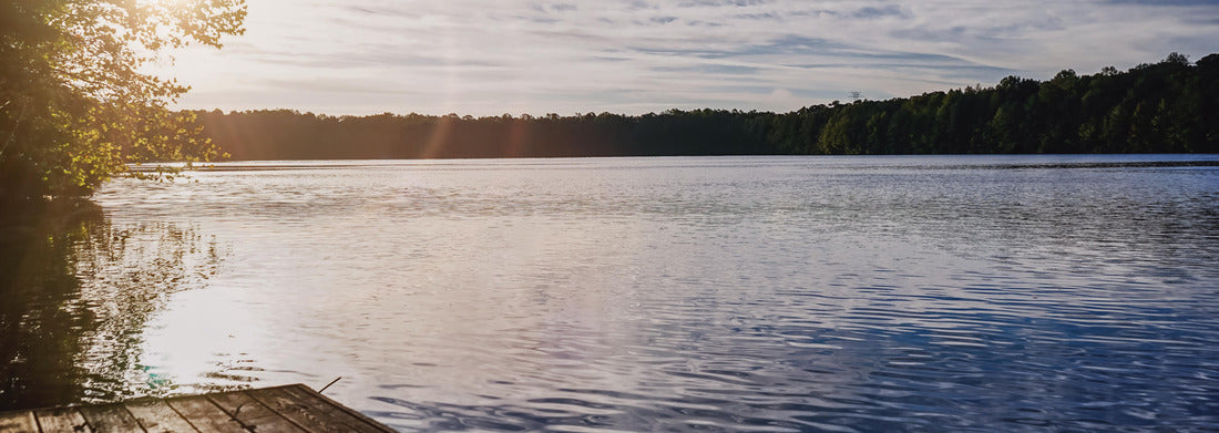 Noah Jigsaw Puzzle The sun rising in Chesapeake, Virginia USA at a local park with a lake panorama 1000 pieces