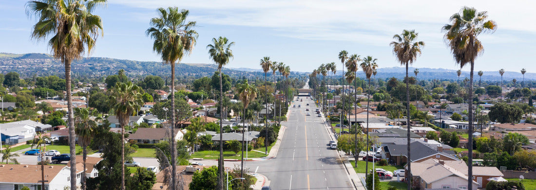 Noah Jigsaw Puzzle Daytime view of West Covina city center, California panorama 1000 pieces