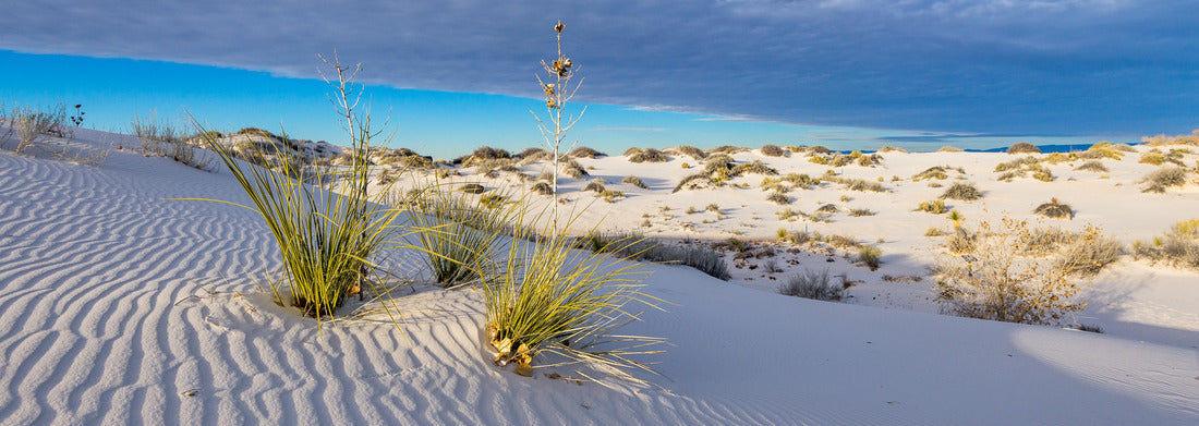 Noah Jigsaw Puzzle Sunset in White Sands National Park panorama 1000 pieces