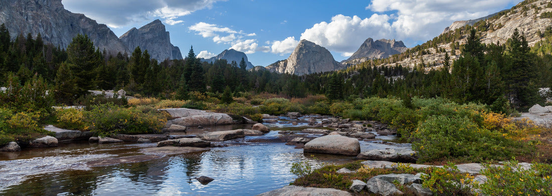 The East Fork River in the Wind River Range of Wyoming. Left to right, Ambush Peak, Raid Peak and Midsummer Dome are seen to the north 1000pc Panoramic Puzzle