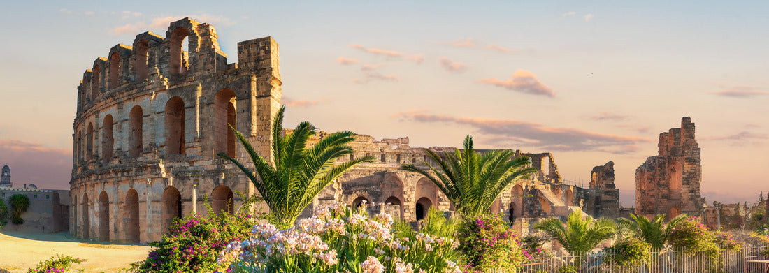 Noah Jigsaw Puzzle Panoramic view of the Roman amphitheater in El Djem. Tunisia panorama 1000 pieces