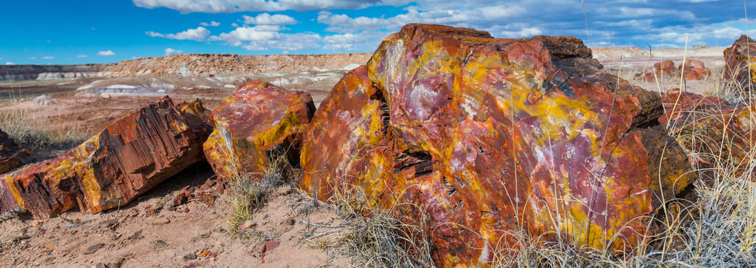 Noah Jigsaw Puzzle Petrified wood at the badlands of the Petrified Forest National Park in Arizona state of the United States of America, North America panorama 1000 pieces