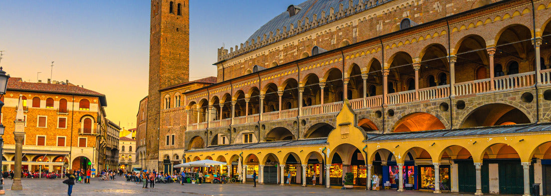 Noah Jigsaw Puzzle Palazzo della Ragione medieval town hall and palace of justice building, Torre degli Anziani tower at the Piazza dei Frutti square in the historic center of Padua, view of the Veneto region, Italy panorama 1000 pieces