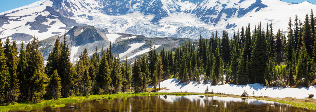 Noah Jigsaw Puzzle Mount Rainier national park, Washington panorama 1000 pieces