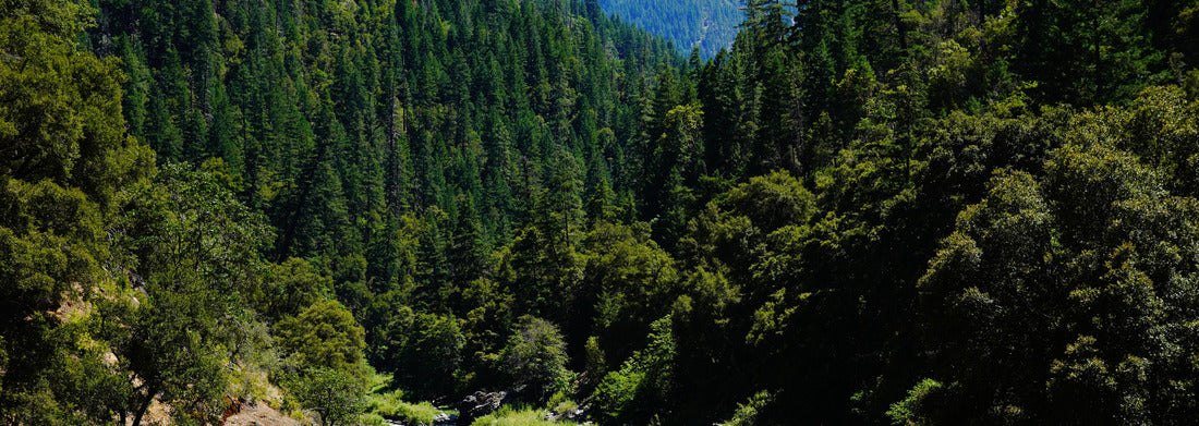 Noah Jigsaw Puzzle Beautiful Scott River with a view of the Marble Mountains. The Scott River is located in Siskiyou County California panorama 1000 pieces