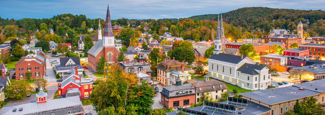 Noah Jigsaw Puzzle Montpelier, Vermont, USA City Skyline panorama 1000 pieces